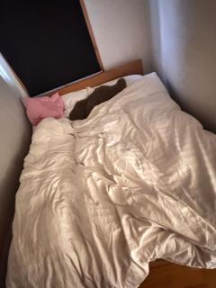 Guesthouse Centrum - 5