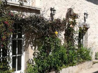 Studette avec SPA privatif à 10 minutes à pied du chateau d'Azay le Rideau - 9