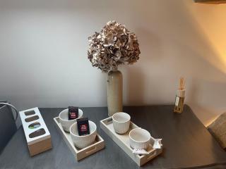 Studette avec SPA privatif à 10 minutes à pied du chateau d'Azay le Rideau - 8