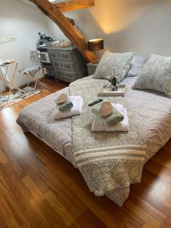 Studette avec SPA privatif à 10 minutes à pied du chateau d'Azay le Rideau - 6