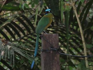 Estudio Embira - Lago Verde - 4