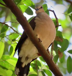 Estudio Embira - Lago Verde - 6