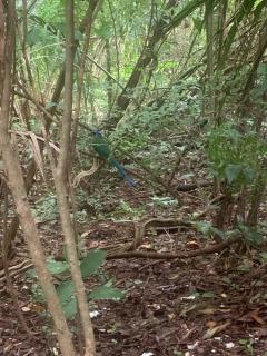 Estudio Embira - Lago Verde - 7