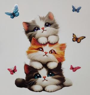 La casa dei mici - 7