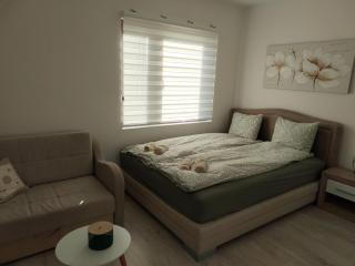 Studio Andrijana Sokobanja - 1