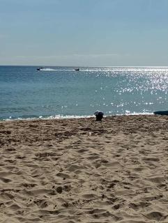 Appartement Neuf au Bord de la Mer - Hammamet Sud Zone Touristique - 1