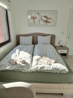 Studio Andrijana Sokobanja - 2