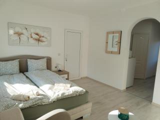 Studio Andrijana Sokobanja - 3