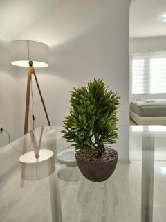 Studio Andrijana Sokobanja - 9