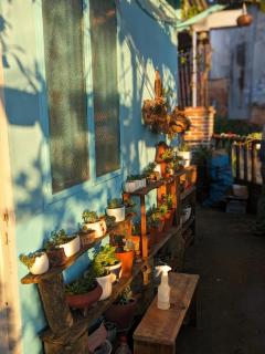 Blue house w garden & mountain view near center - 2