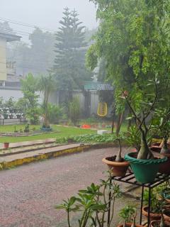 Seasonyard Homestead - 6