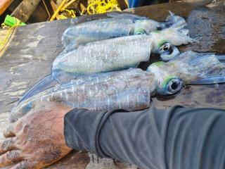 Koh Jum Family Homestay - 8