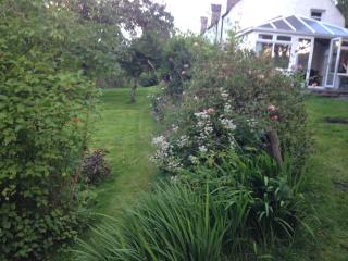 Charming cottage close to the Cairngorms - 4