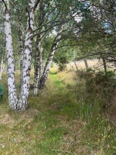 Charming cottage close to the Cairngorms - 3