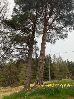 Charming cottage close to the Cairngorms - 2