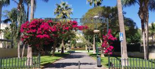 Málaga la Bella - 4