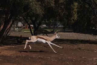 Welverdiend - Unit 1 - 6