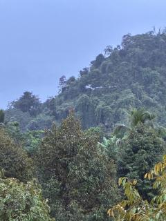 มาค่ะ ฟาร์มสเตย์ ห้วยเขย่ง สวนคุณตา สวนทุเรียนทองผาภูมิ - 2