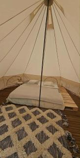 Au coeur des plantations - 9