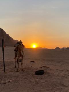 Wadi rum desert sky - 3