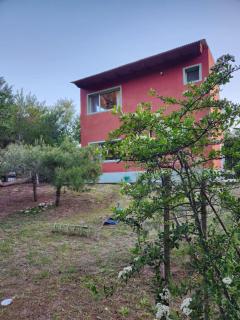 El Jardin de Sauce - 2