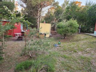 El Jardin de Sauce - 4