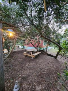 El Jardin de Sauce - 5