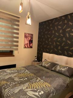 Vivien apartmani - 5