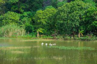 Tam Coc Kamili Bungalow & Homestay - 3