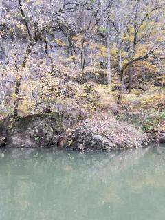 Amazing Cabin for a Weekend Getaway near Missouri River in Steelville, Missouri - 8