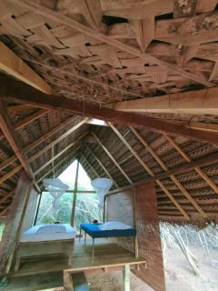 Yala Wild Adventure Camp - 2