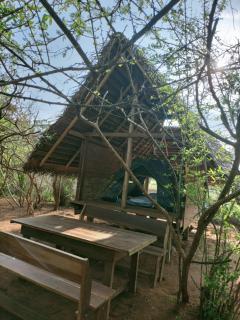 Yala Wild Adventure Camp - 7