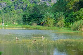 Tam Coc Kamili Bungalow & Homestay - 2