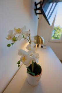 Camera Nairobi - La Casa di Carta Affittacamere - 6