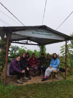 Mountain View Eco Farm - 8