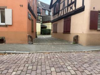 Le petit nid de cigogne - 5