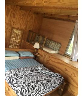 Mis 2 amores díablo - 3