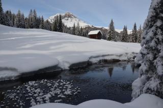 Alpin Chalet Frenademetz - 3