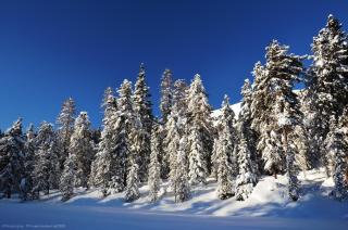 Alpin Chalet Frenademetz - 4