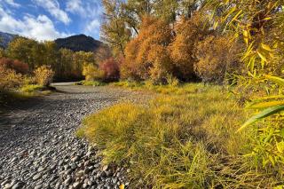 NEW - Raven's Nest - DT Leavenworth - Leavenworth - 1