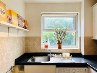 Writer's oasis garden flat in Hackney - 6