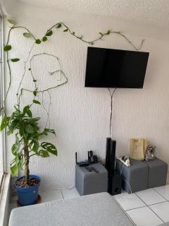 Casa-Patio Bugambilias - 6