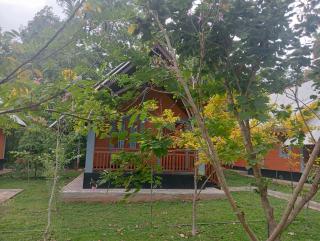 Seeing Green Udawalawa - 1