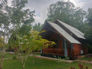 Seeing Green Udawalawa - 2