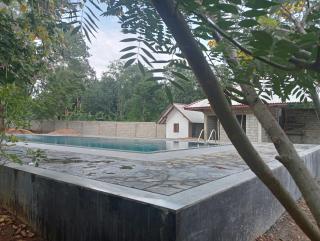 Seeing Green Udawalawa - 6