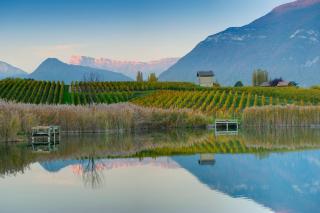 Appartement 1 à 4 personnes entre lacs vignes et montagnes - 3