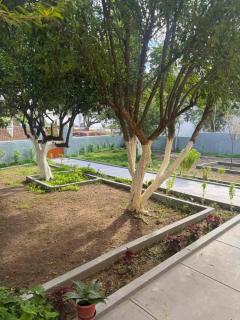 Traditional Villa Stella - 7