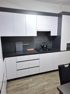 Транзит Сервис 4 Аэропорт- Кишинёв - 1