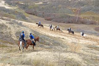 Modern & Cosy Holiday Cottage with Patio & Fenced Garden near Dunes & Beach - Koksijde - 6