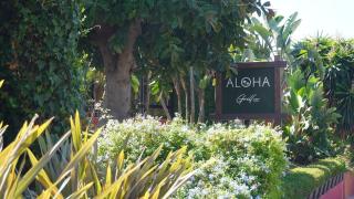 Banús Walk Apartment - 1